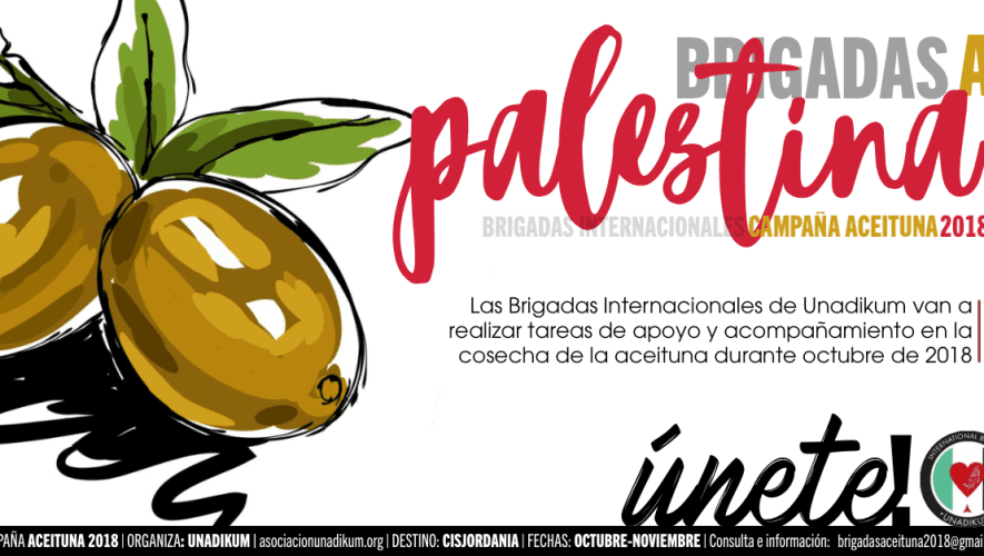 Apúntate a la brigada de la aceituna en Palestina en otoño